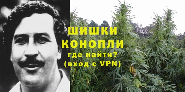 Альфа ПВП Беломорск