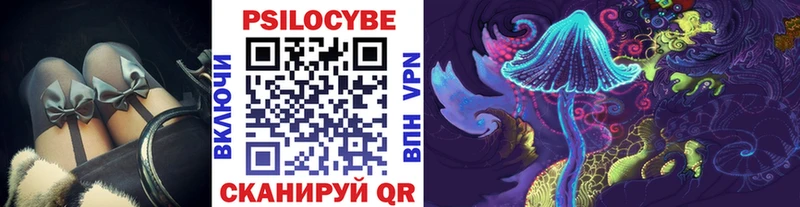 Псилоцибиновые грибы Cubensis  Купить  Вихоревка 
